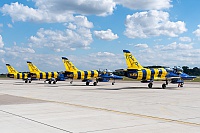 Baltic Bees – Aero L-39C YL-KSH