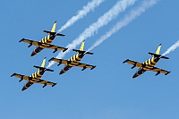 Baltic Bees – Aero L-39C YL-KSH