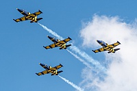 Baltic Bees – Aero L-39C YL-KSH